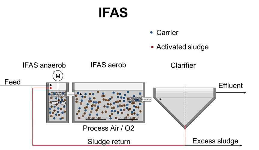 مراحل--IFAS