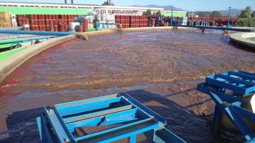 wastewater-treatment-of-tomato-paste-factory