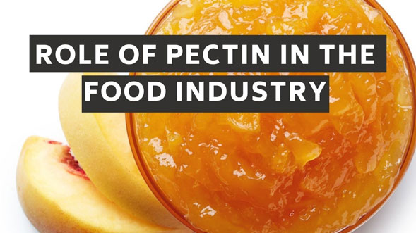 ROLE-OF-PECTIN-IN-FOOD-INDUSTRY-