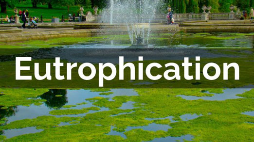 eutrophication-1-
